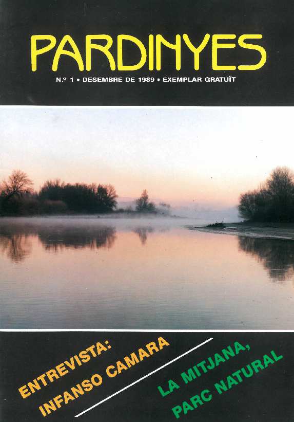 PARDINYES, 1/1/1989 [Issue]