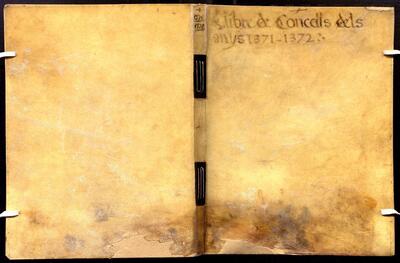 Actes del Consell General, 30/5/1371–9/1/1372 [Minutes]