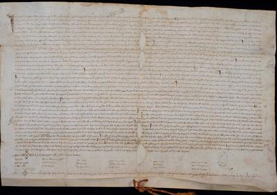 Concessi&oacute; reial d'immunitats, privilegis i instauraci&oacute; de les pautes pel regiment de l'Estudi General. [Document d&rsquo;arxiu]