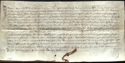 Ordre reial que dicta que l&rsquo;ordinaci&oacute; i provisi&oacute; de doctors sigui compet&egrave;ncia dels paers i dels ciutadans, que el bisbe sufragui l&rsquo;Estudi General amb 3000 sous durant vuit anys i que el doctor Pere de Verdalia rebi mil sous com a salari per la seva lectura. [Document d&rsquo;arxiu]